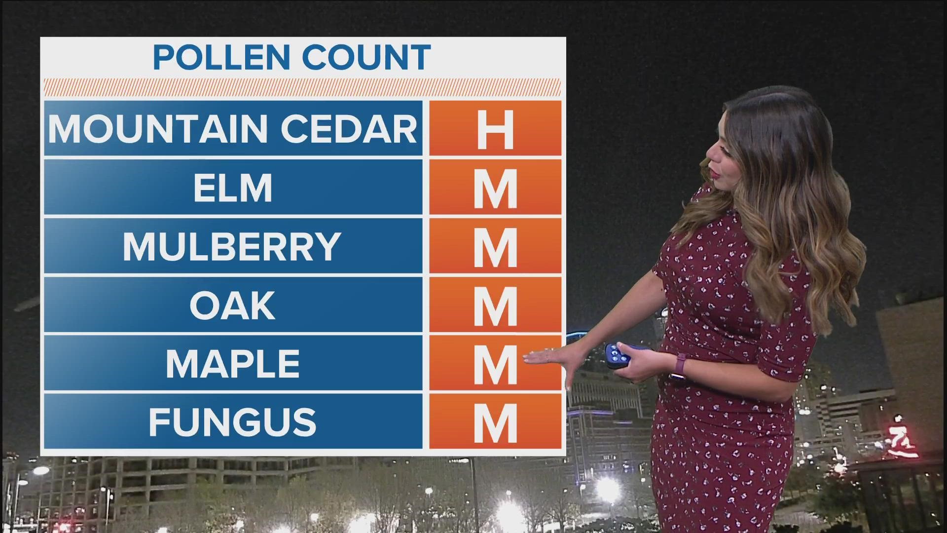 WFAA meteorologist Mariel Ruiz lists out the types of pollen to expect this week and how they're getting into North Texas.