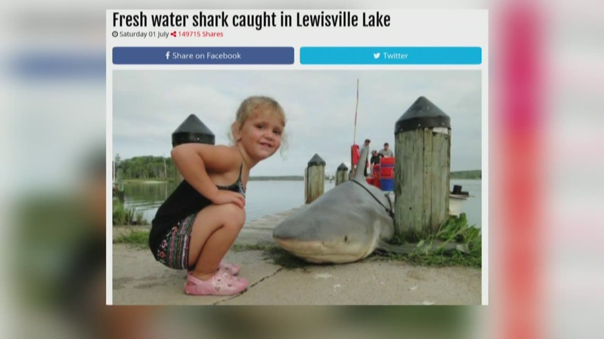 Verify: A shark caught in Lewisville lake?