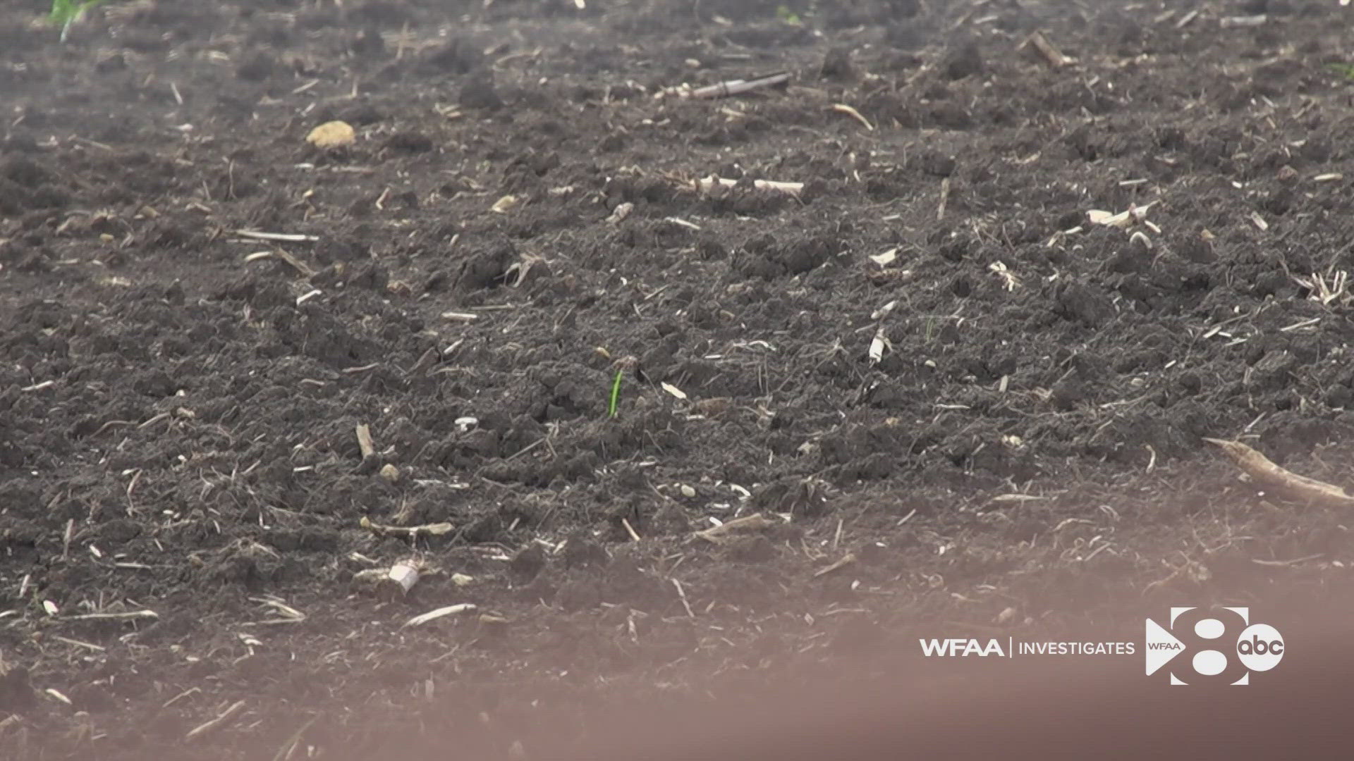 Concerns about concentrated “forever chemicals” fuel opposition to the use of fertilizer made from human waste.