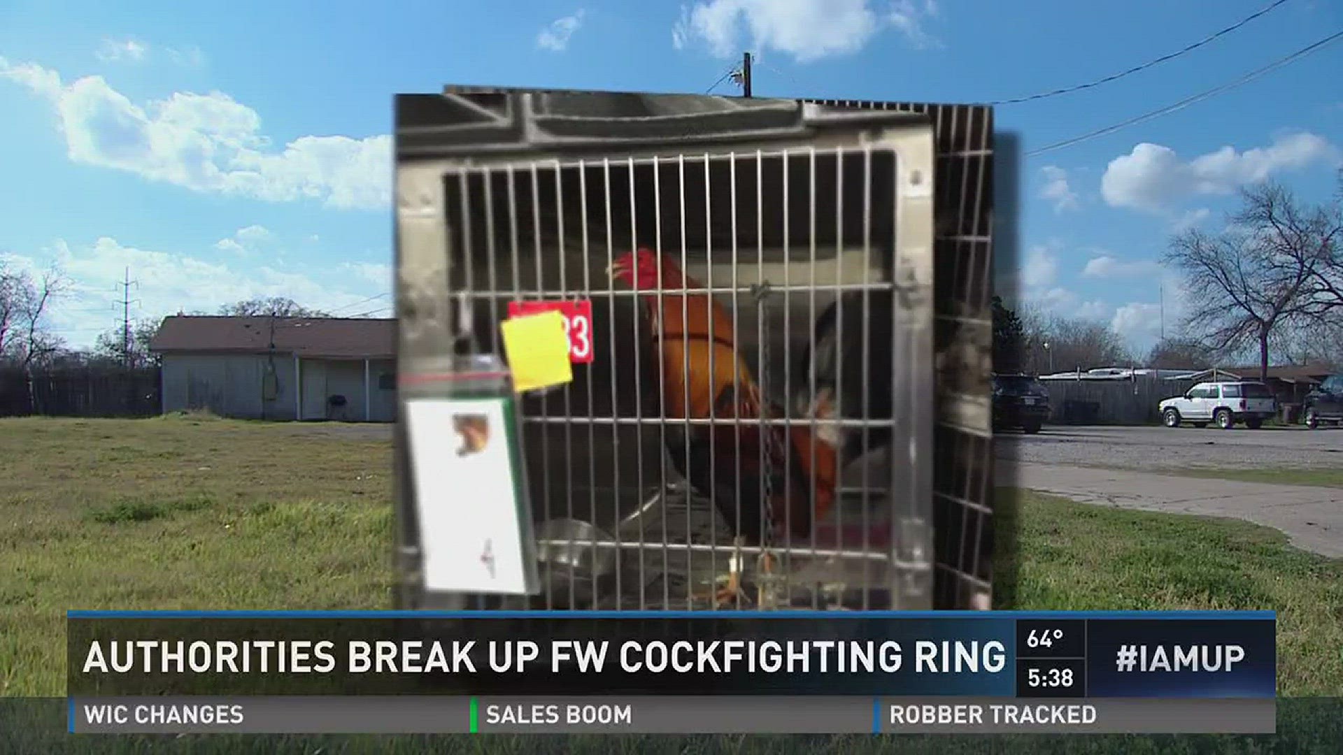 Three Arrested In Fort Worth Cockfighting Bust 