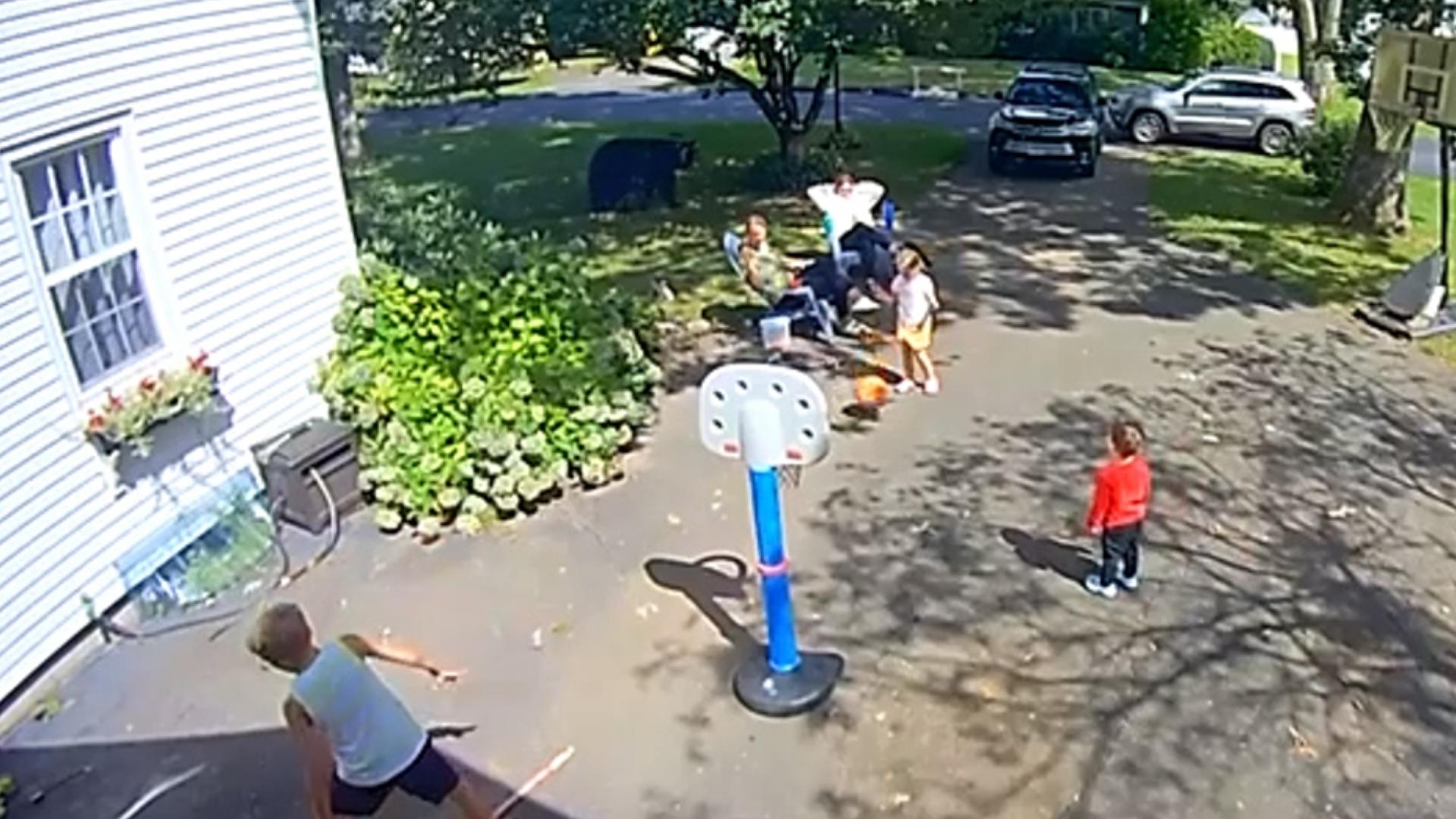 A camera captured a black bear walking up on a family playing in their driveway in Simsbury, CT.