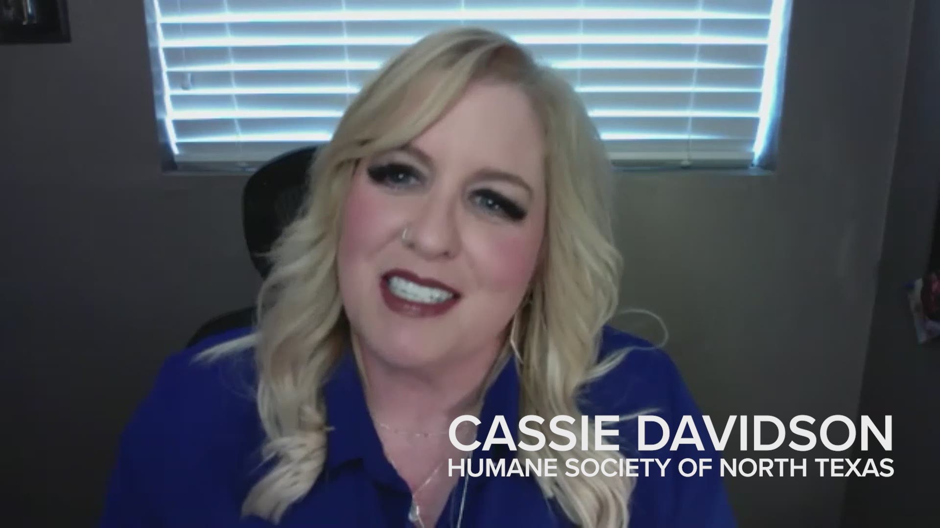 Cassie Davidson works for the Humane Society of North Texas. She explains the difference between fostering and adopting.