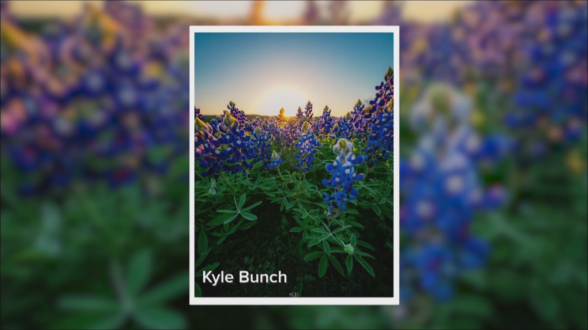 WFAA's Marc Istook gathered up some of the best images showcasing the Texas spirit, all displayed around a symbol of spring in the state: bluebonnets.