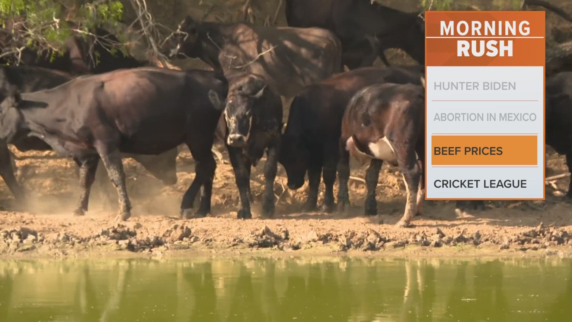 Prices for hay bales have more than doubled because of the extreme weather, which has forced ranchers to sell cattle.