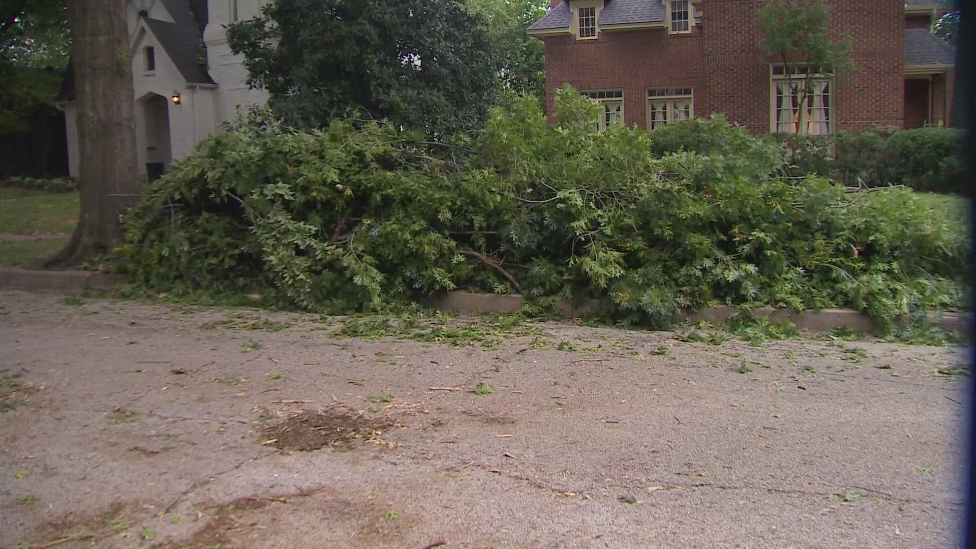 From fallen trees to busted-out windows, residents in Dallas saw damage from Sunday's severe storms.