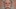 'Same eyes, same monster' | How Genealogy DNA helped a crack 30-year-old, unsolved Dallas cold case