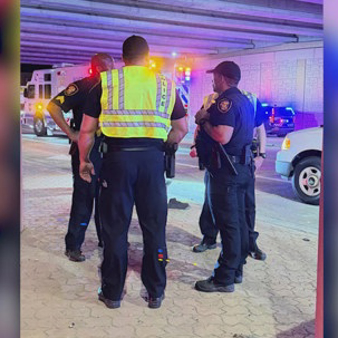 3 brothers die after falling through ice into freezing pond, officials ...