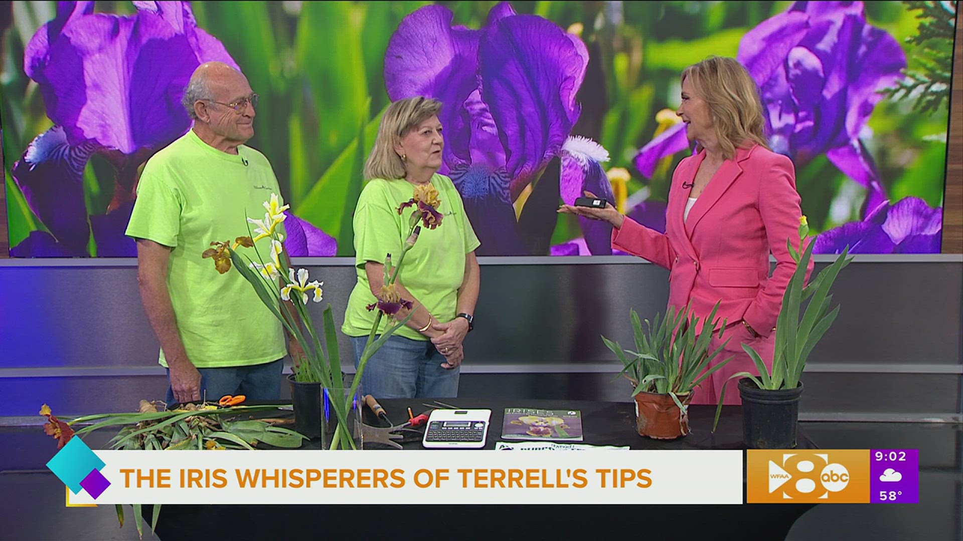 Bonnie and Hooker Nichols of Hillcrest Iris & Daylily Gardens share their top 5 tips for growing a better iris