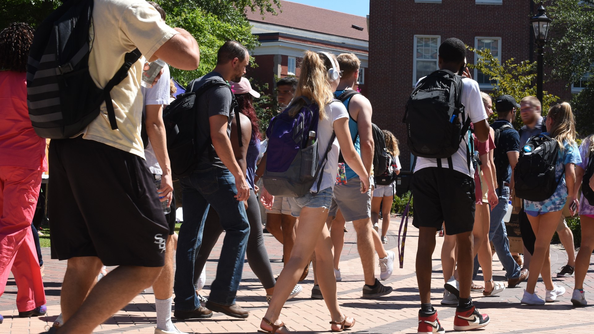 Texas students can apply to public colleges for free this week. Here's how it works