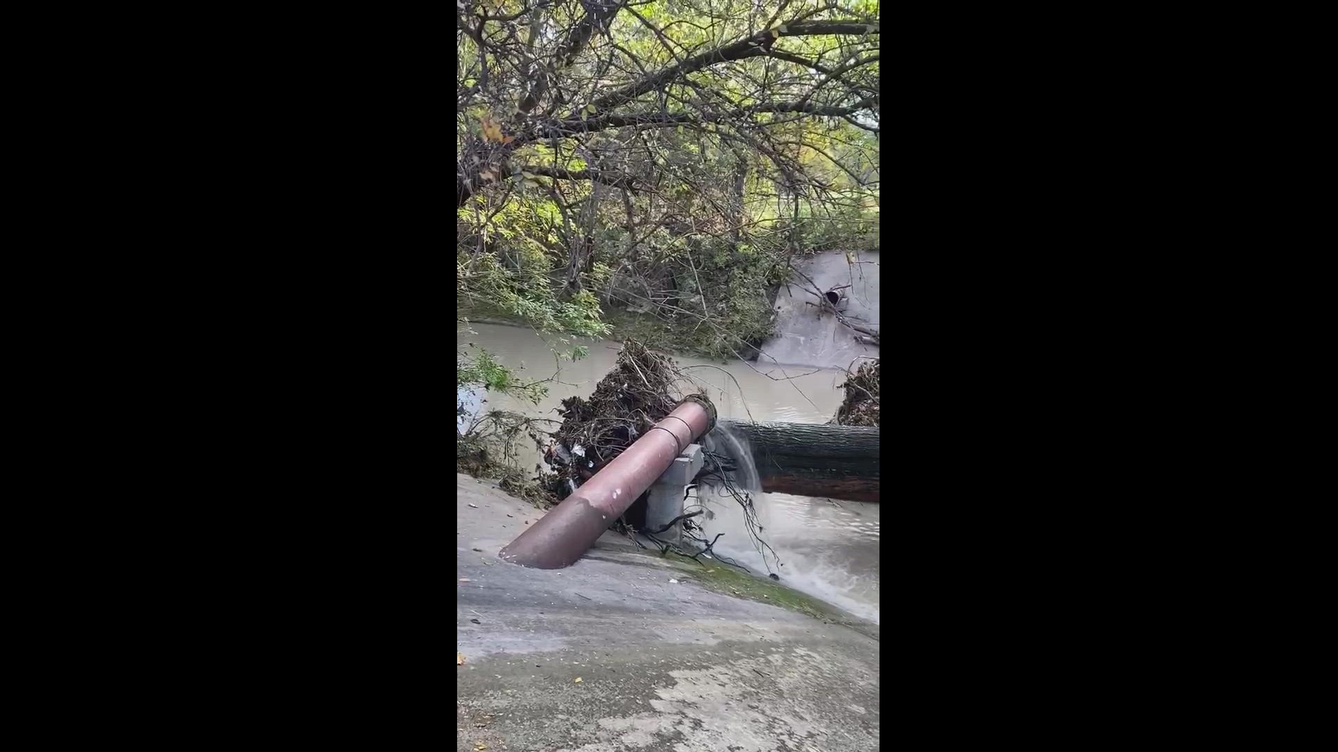 A large tree damaged by Wednesday night’s severe thunderstorm fell and struck an 18-inch aerial sewage line crossing before 7 Thursday morning.