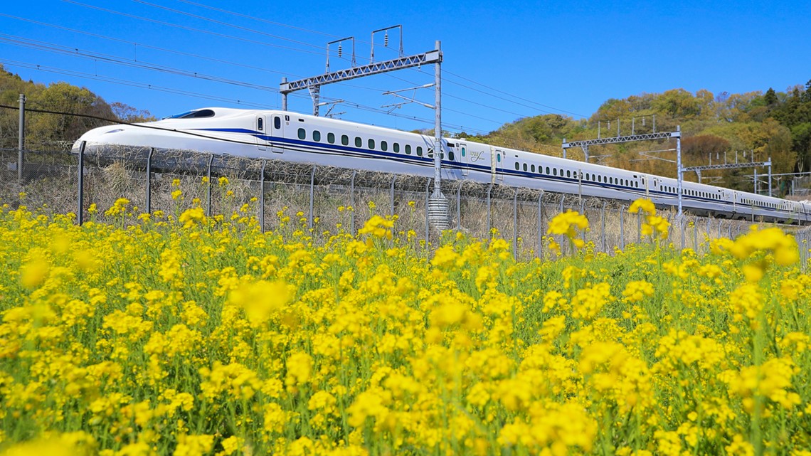 Dallas OKs study of highspeed rail lines to Houston, Fort Worth