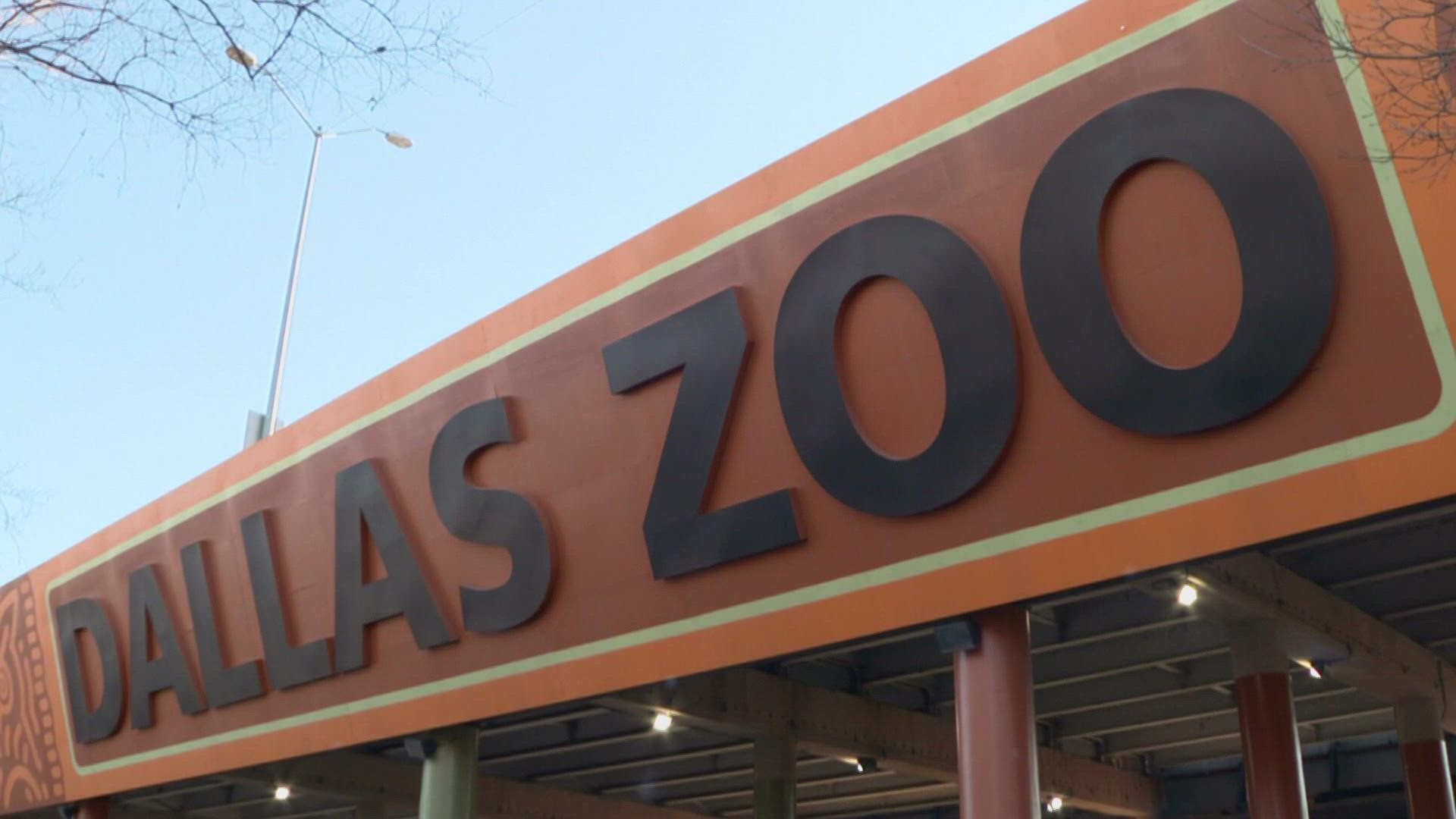The zoo announced the death of one of the endangered vultures in its Wilds of Africa habitat Saturday night, and said it does not appear to be of natural causes.