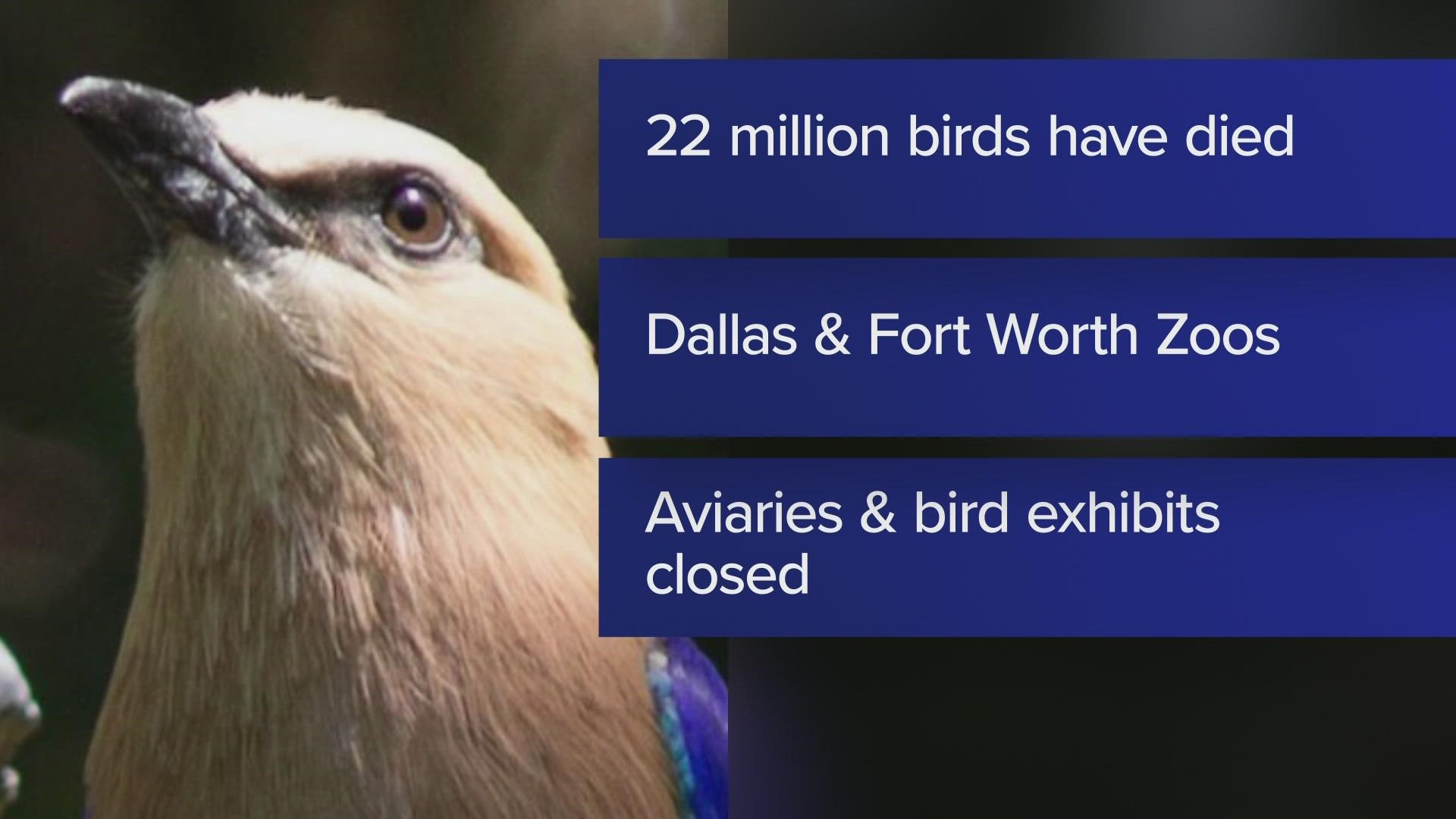 The Dallas Zoo stated that the Forest Aviary and Birds Landing will be closed to the public.