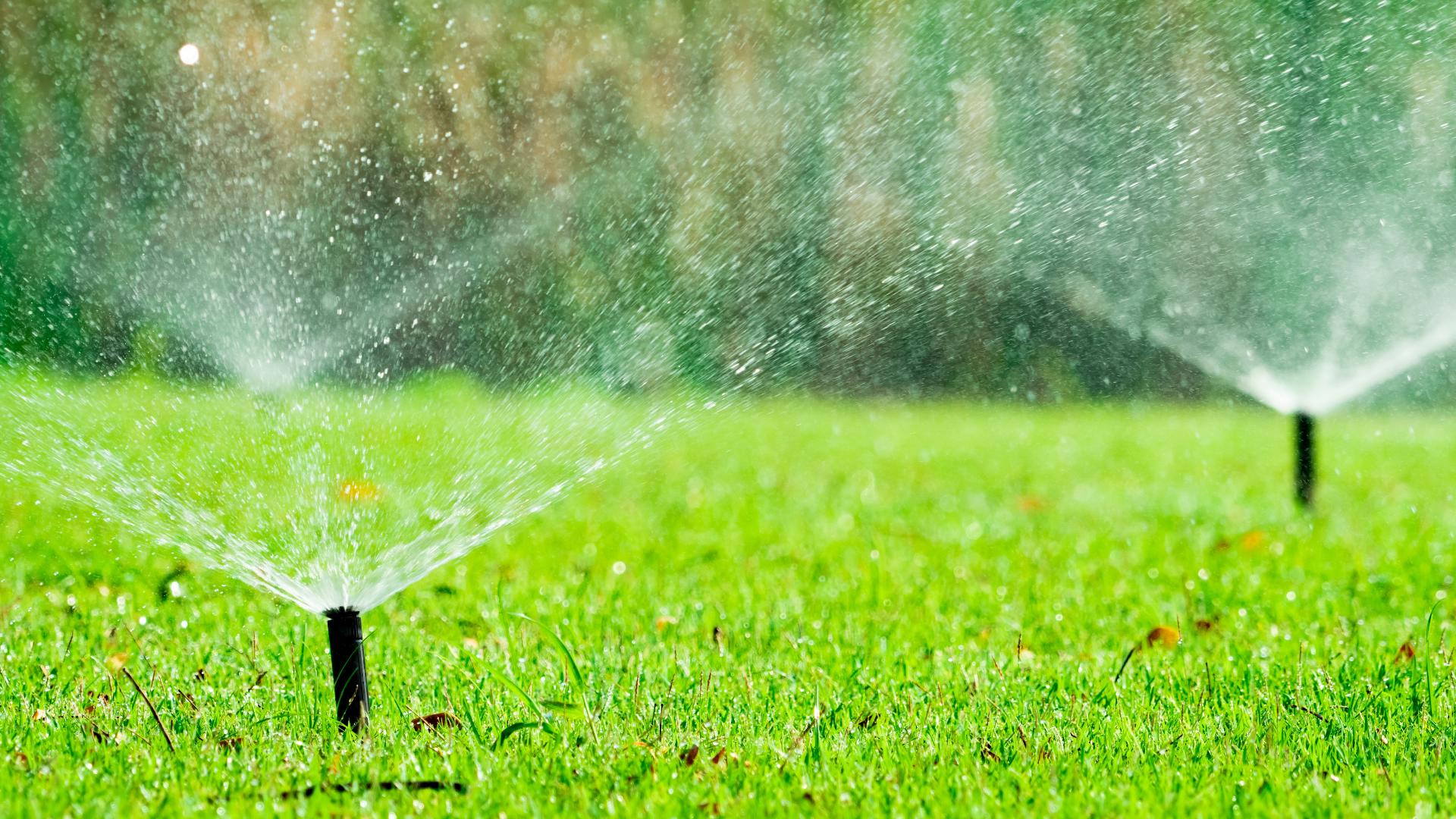 The City of Lewisville is taking action early by implementing its water restrictions for the next four months.