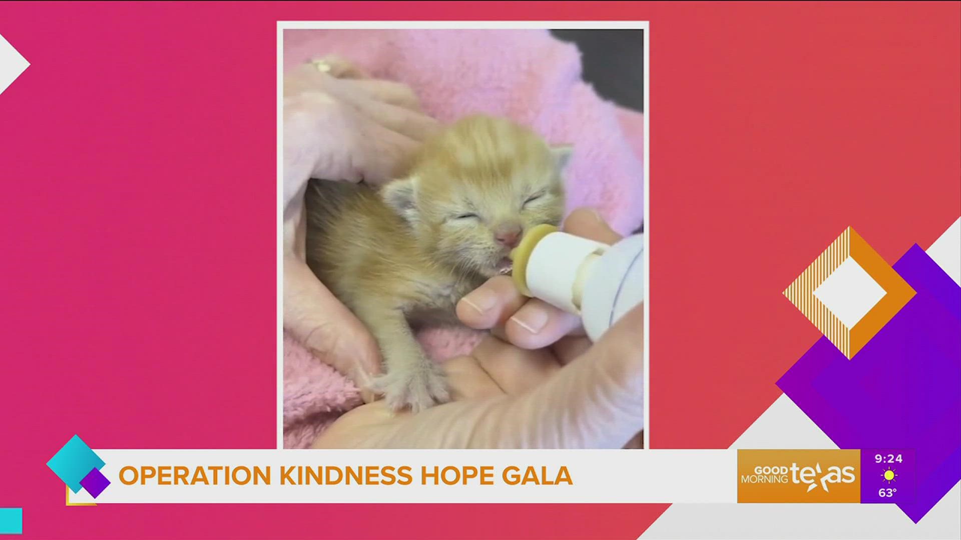 Operation Kindness provides life-saving medical care to tens of thousands of pets every year with the support of funding from their Hope Gala event.
