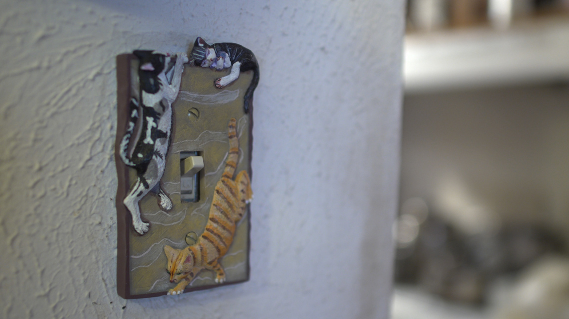 'Me-wow:' Viral cat house brings joy, healing to North Texas man