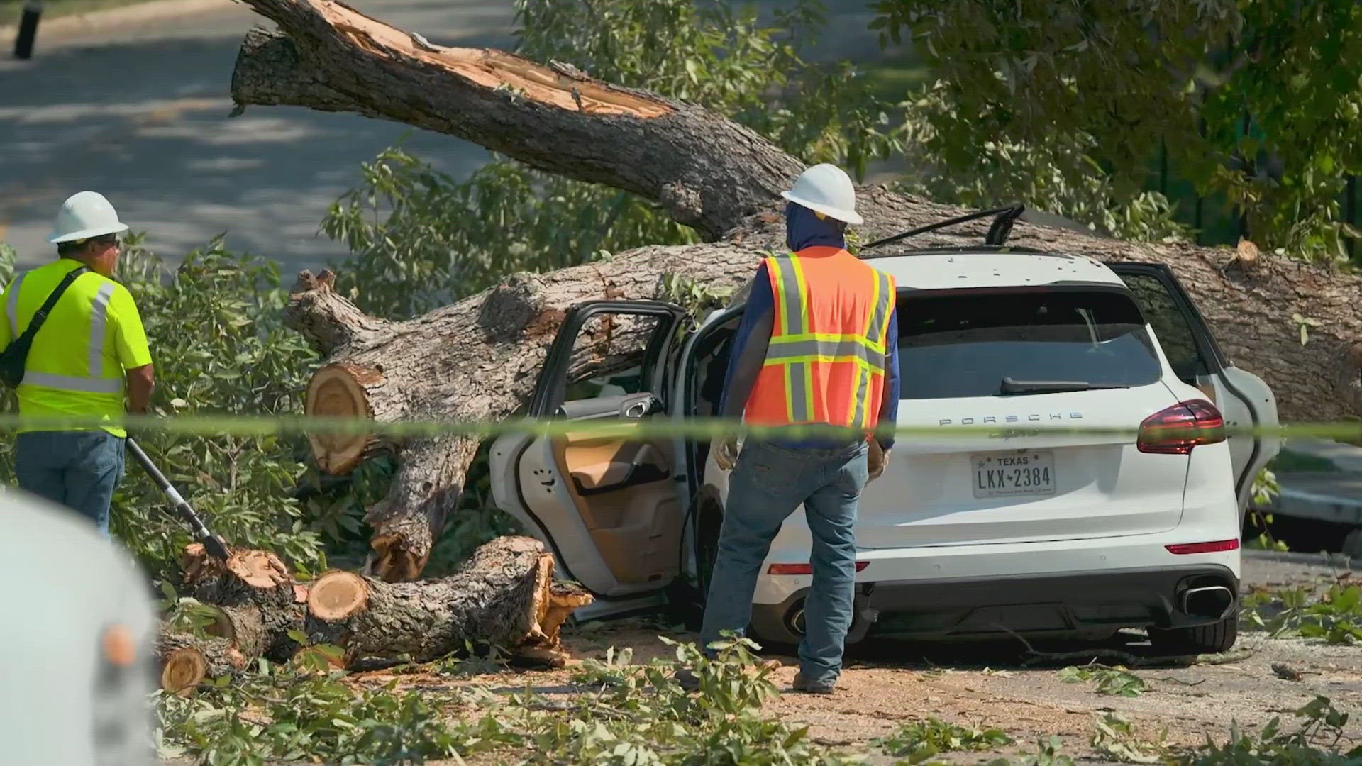 The woman was pinned under the tree and had to be extricated, Dallas Fire-Rescue said. She was taken to a local hospital in serious condition.