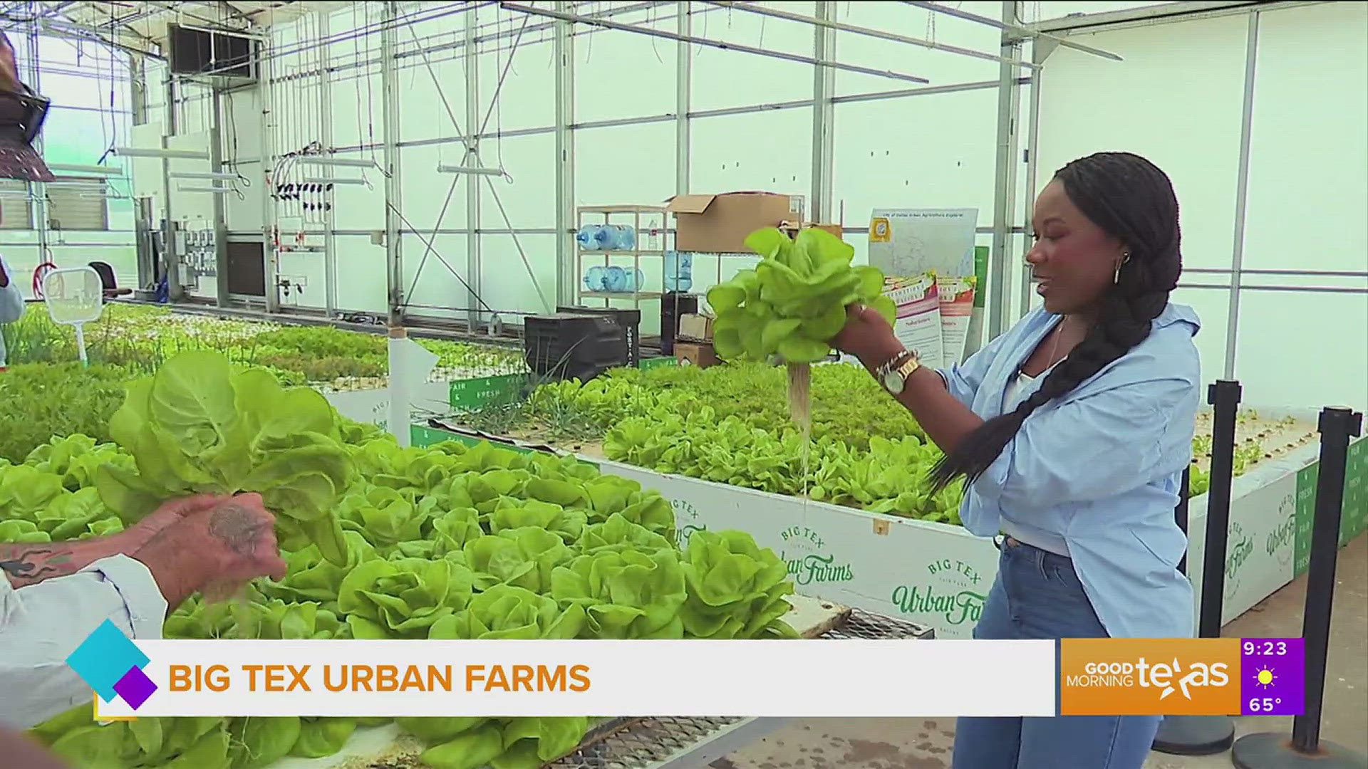 On this edition of Employing Erin, she takes on the job of farmer where she shows us all of the work that goes on at Big Tex Urban Farms at the State Fair of Texas.