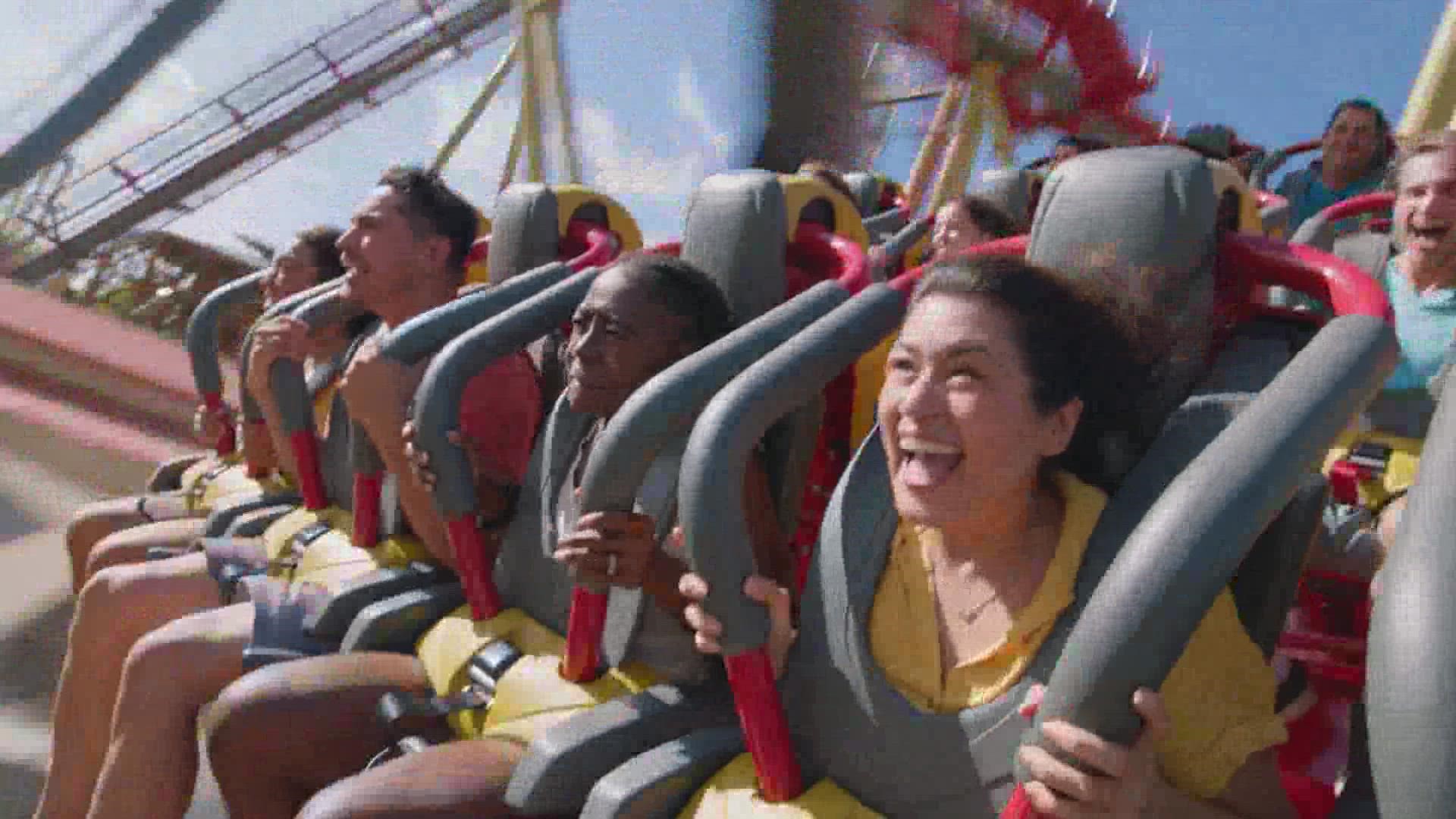 Is Six Flags just a 'cheap daycare center'? That's what the CEO says