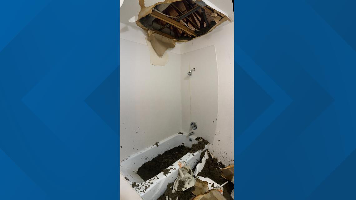 Texas domestic violence shelter needs donations after pipes burst