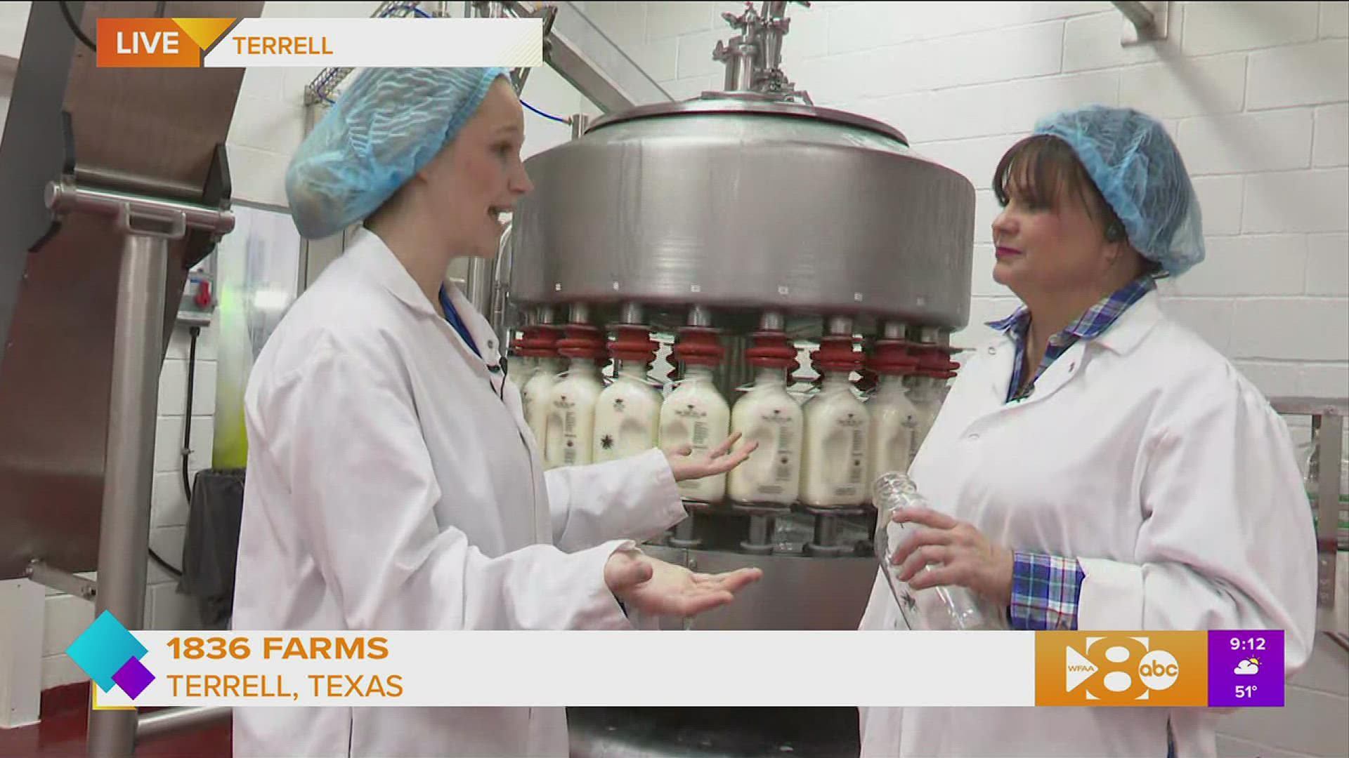 Paige is live at 1836 Farms in Terrell to see how one creamery is milking and bottling the old-fashioned way.