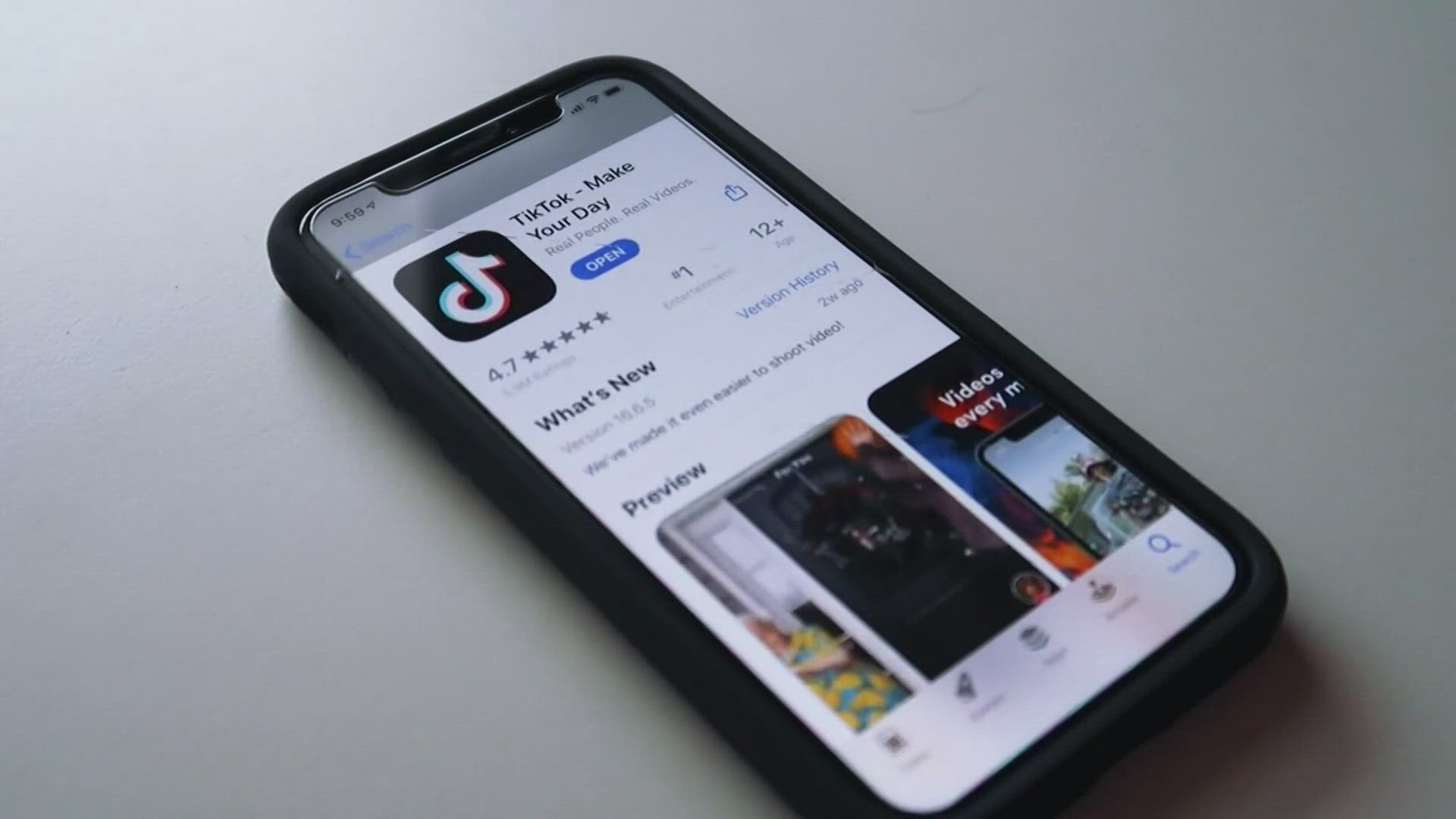 TikTok has a strong history of defeating attempts to ban the app. The app's owners have nine months before the ban takes effect.