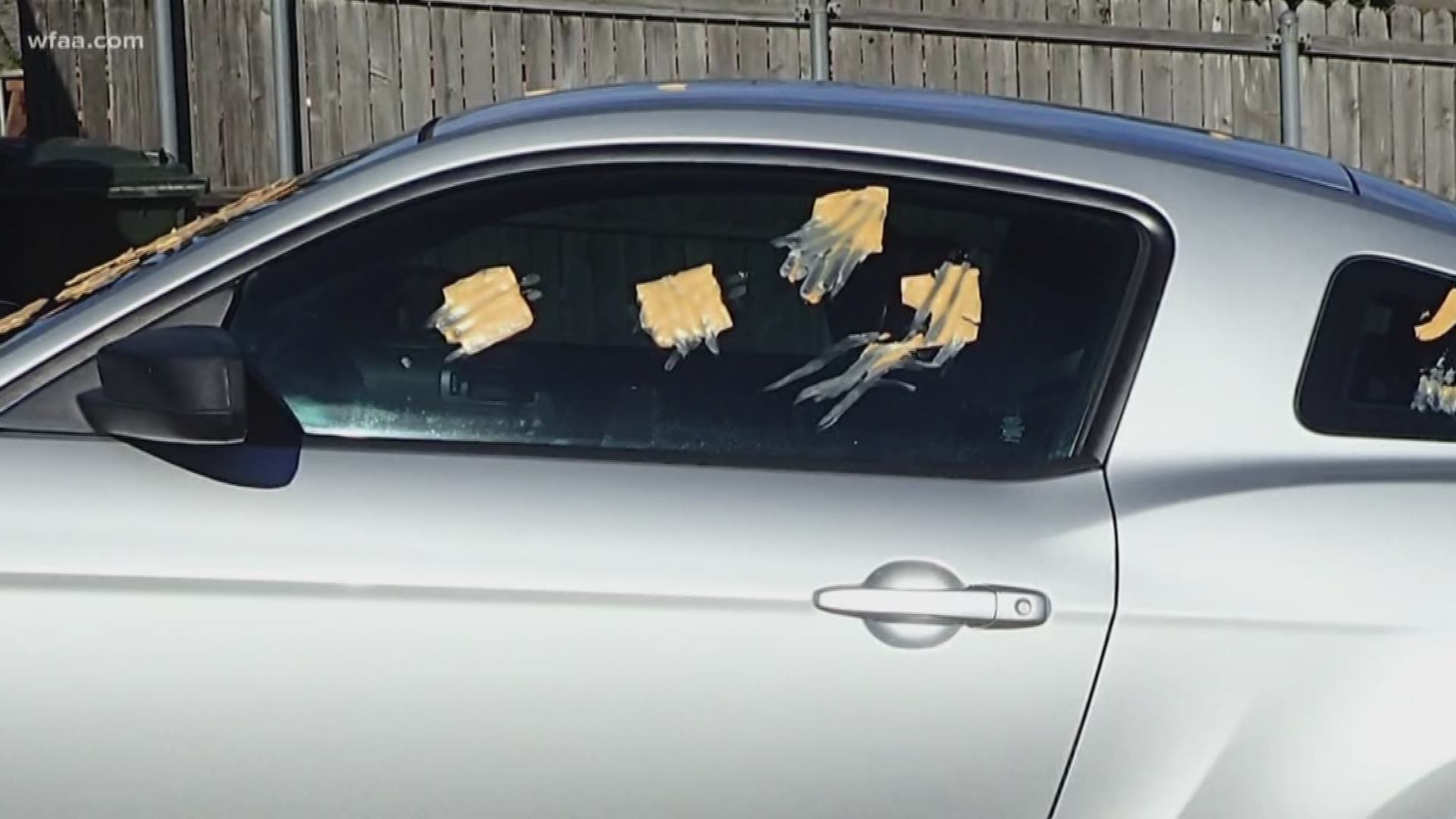 There's a new prank going around called #TheCheeseChallenge. Now detectives are looking for the pranksters responsible for targeting vehicles in Carrollton.