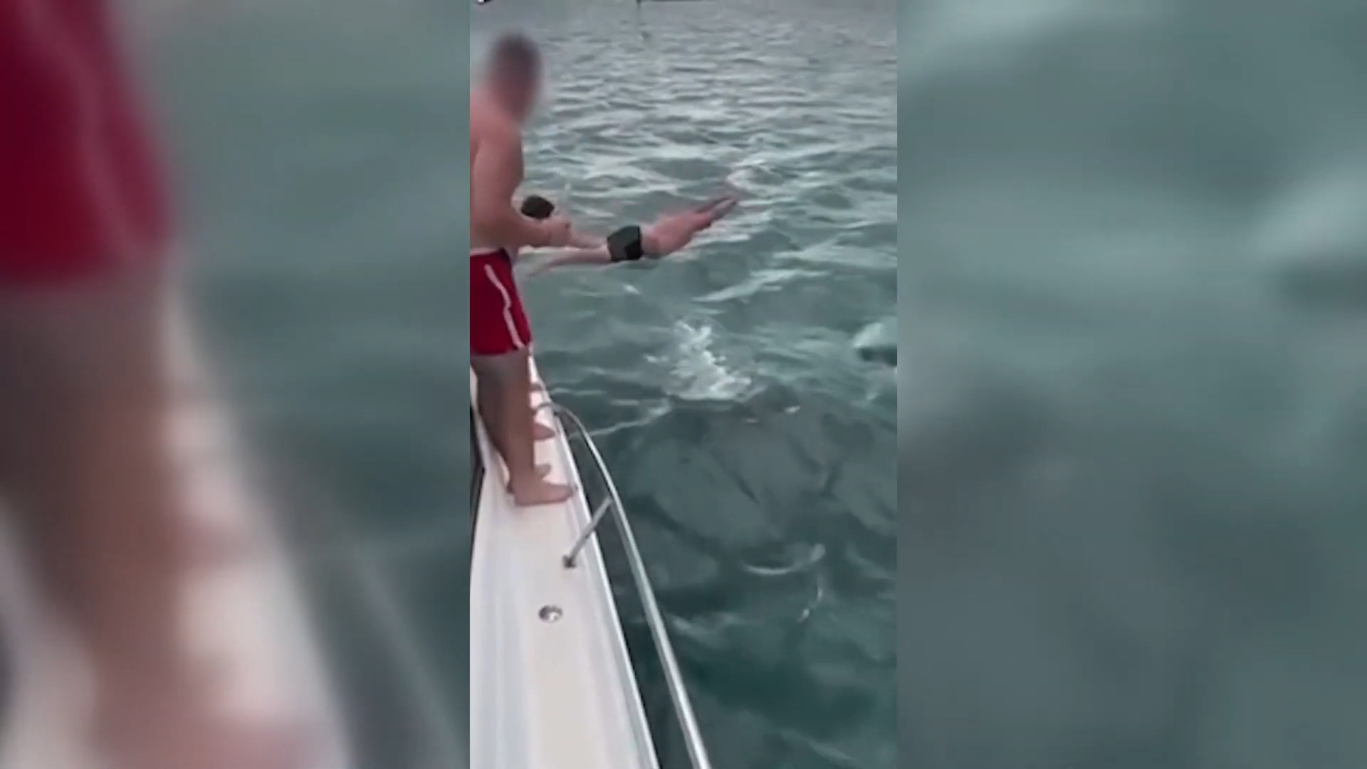 A New Zealand man has reportedly been fined for trying to body slam a killer whale.