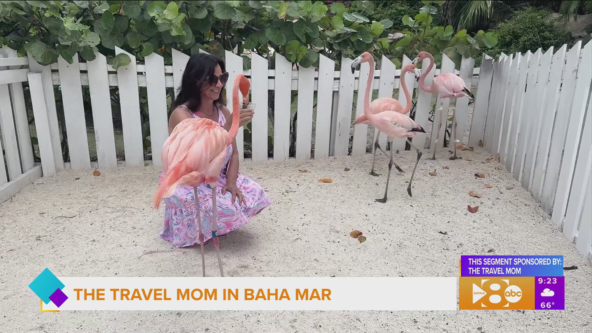 This segment is sponsored by: The Travel Mom