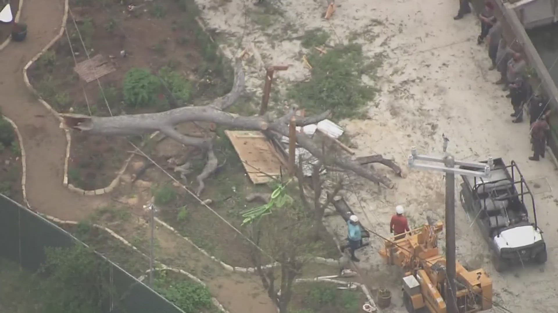 San Antonio zoo officials are calling the incident an "unfortunate freak accident."