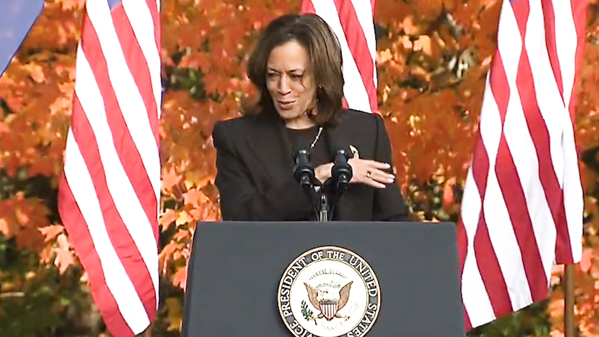 Kamala Harris' gave a speech at a presidential campaign rally in Grand Rapids, Michigan, on October 18, 2024.