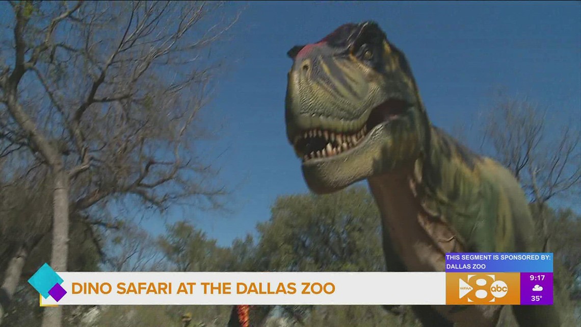 Dino Safari At The Dallas Zoo Wfaa Com