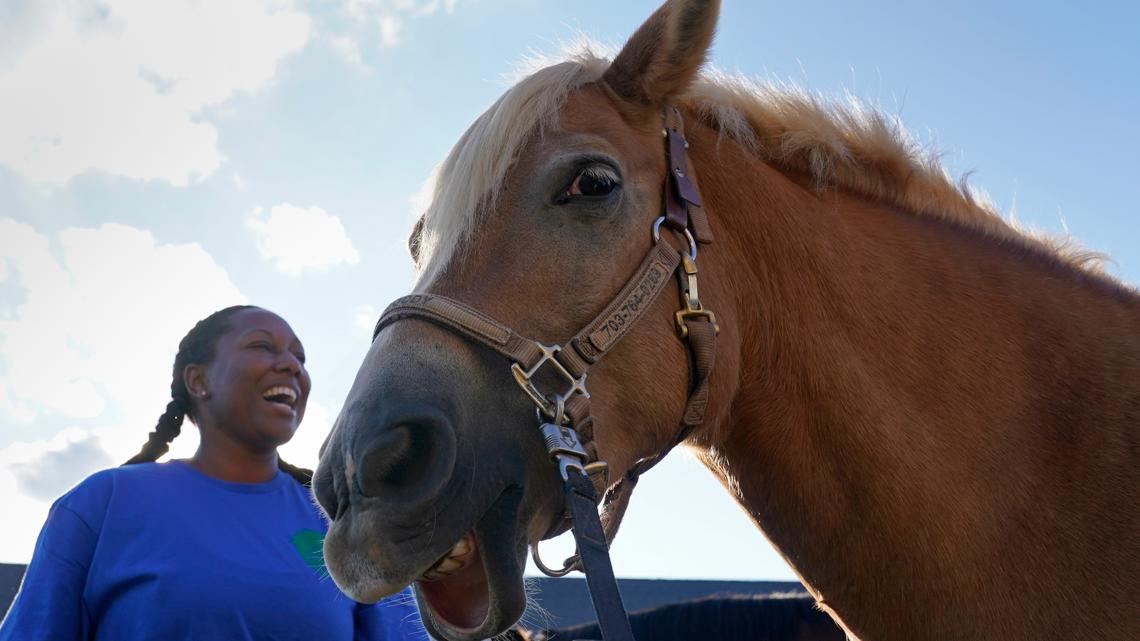 Saddle Up: 8 great places to go horseback riding around DFW