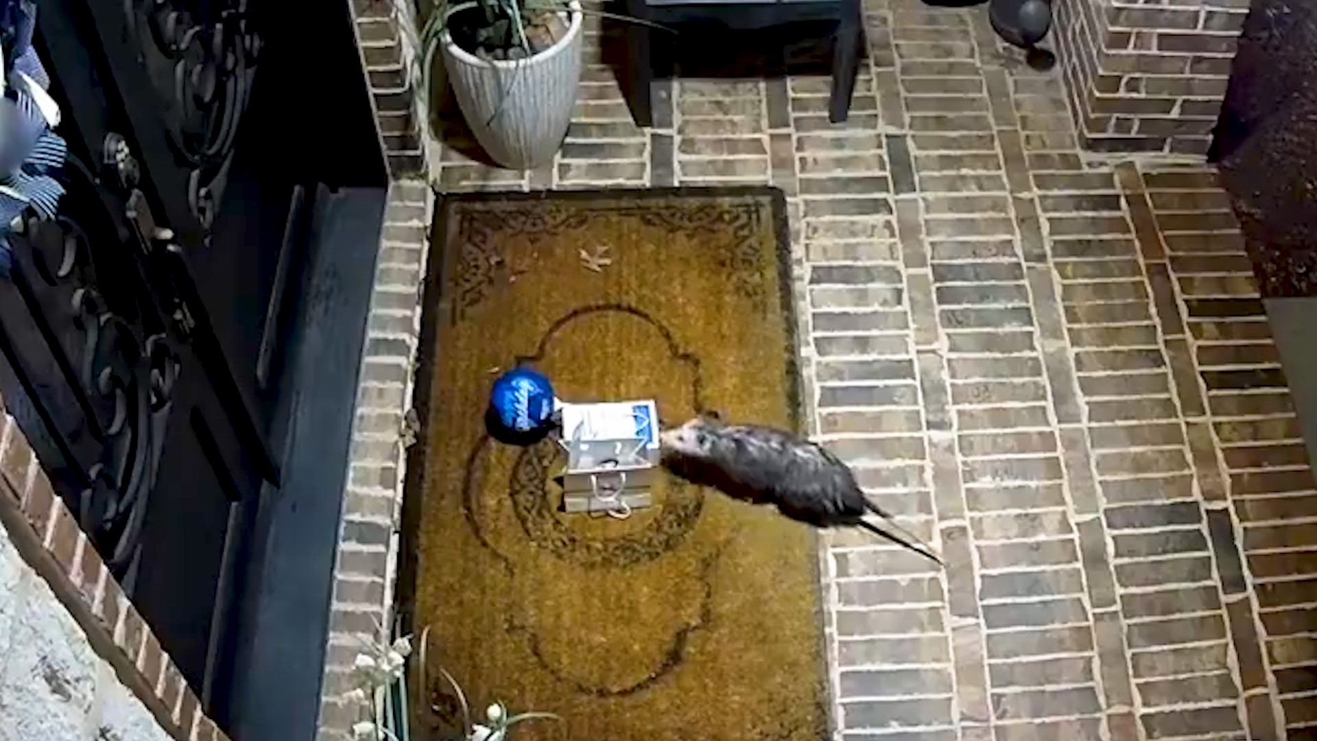The Southlake Department of Public Safety released surveillance video from Jan. 27, 2024, showing a possum stealing a Tiff's Treats package off a porch in Texas.