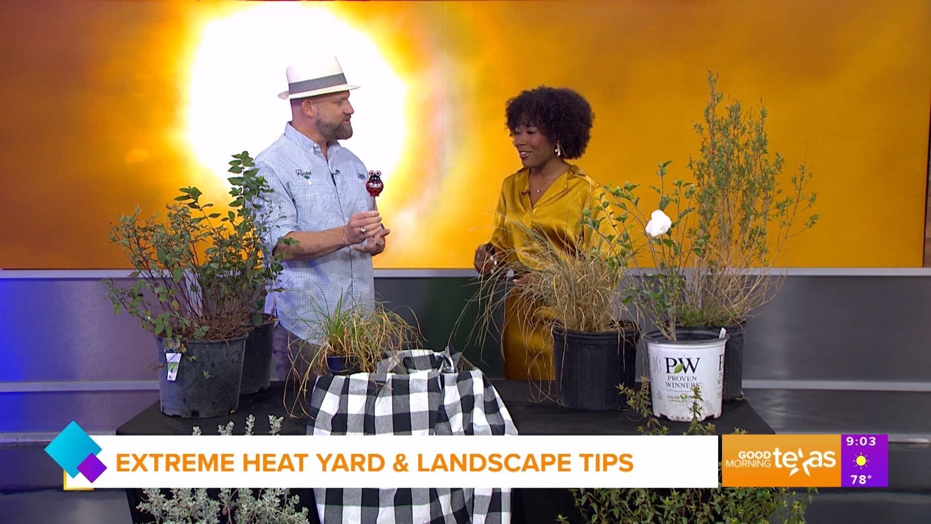 Learn how to keep your yard alive during the extreme heat. Go to RootedIn.com for more information.