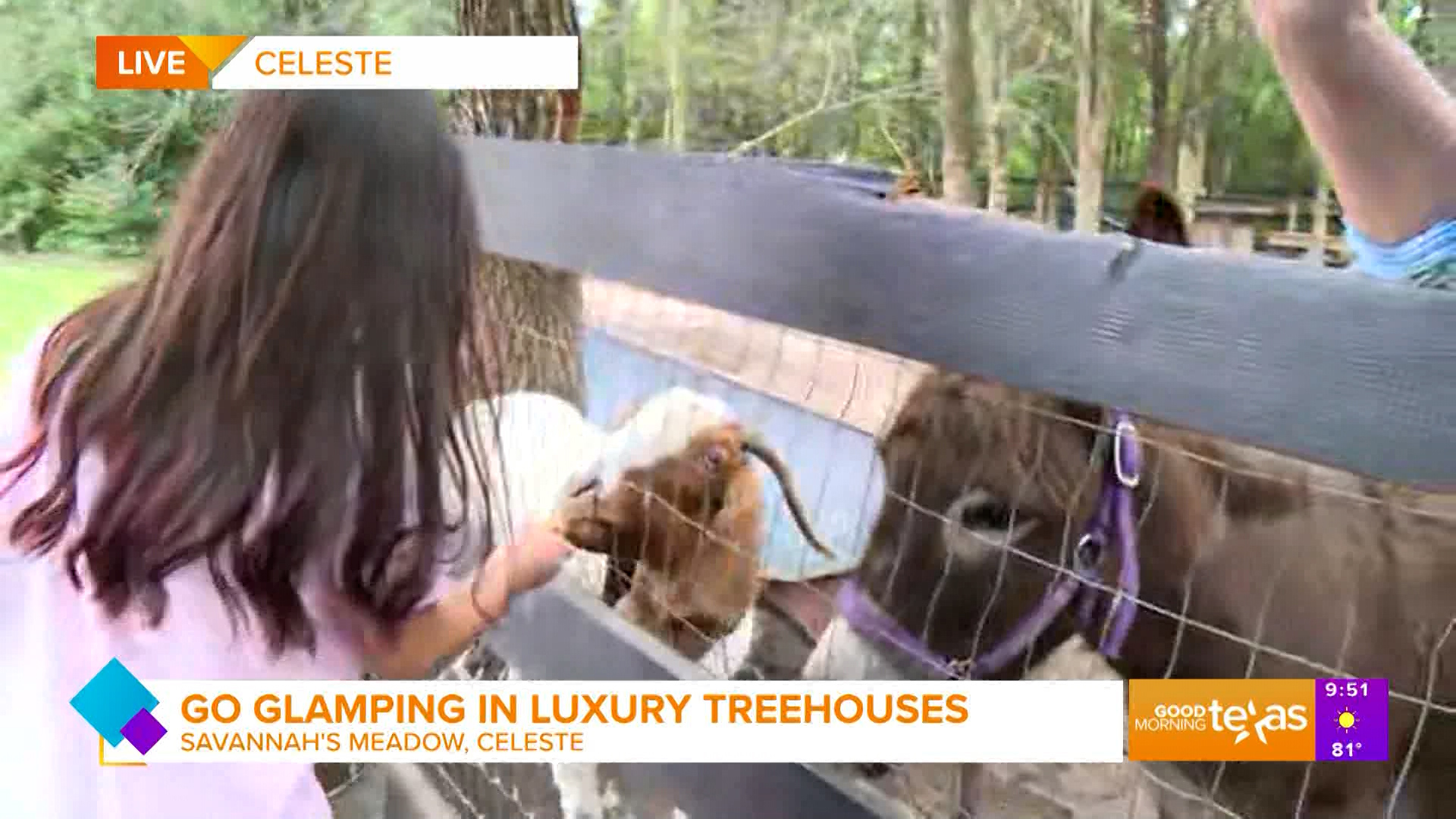 Paige takes us to Savannah's Meadow to check out their glamping experience in treehouses.
