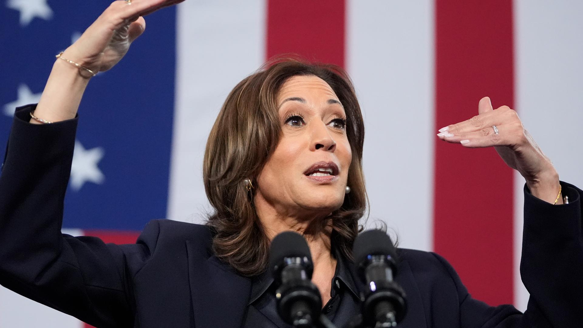 Vice President Harris delivers remarks at the Redford Township Fire Department in Michigan on Oct. 4, 2024.