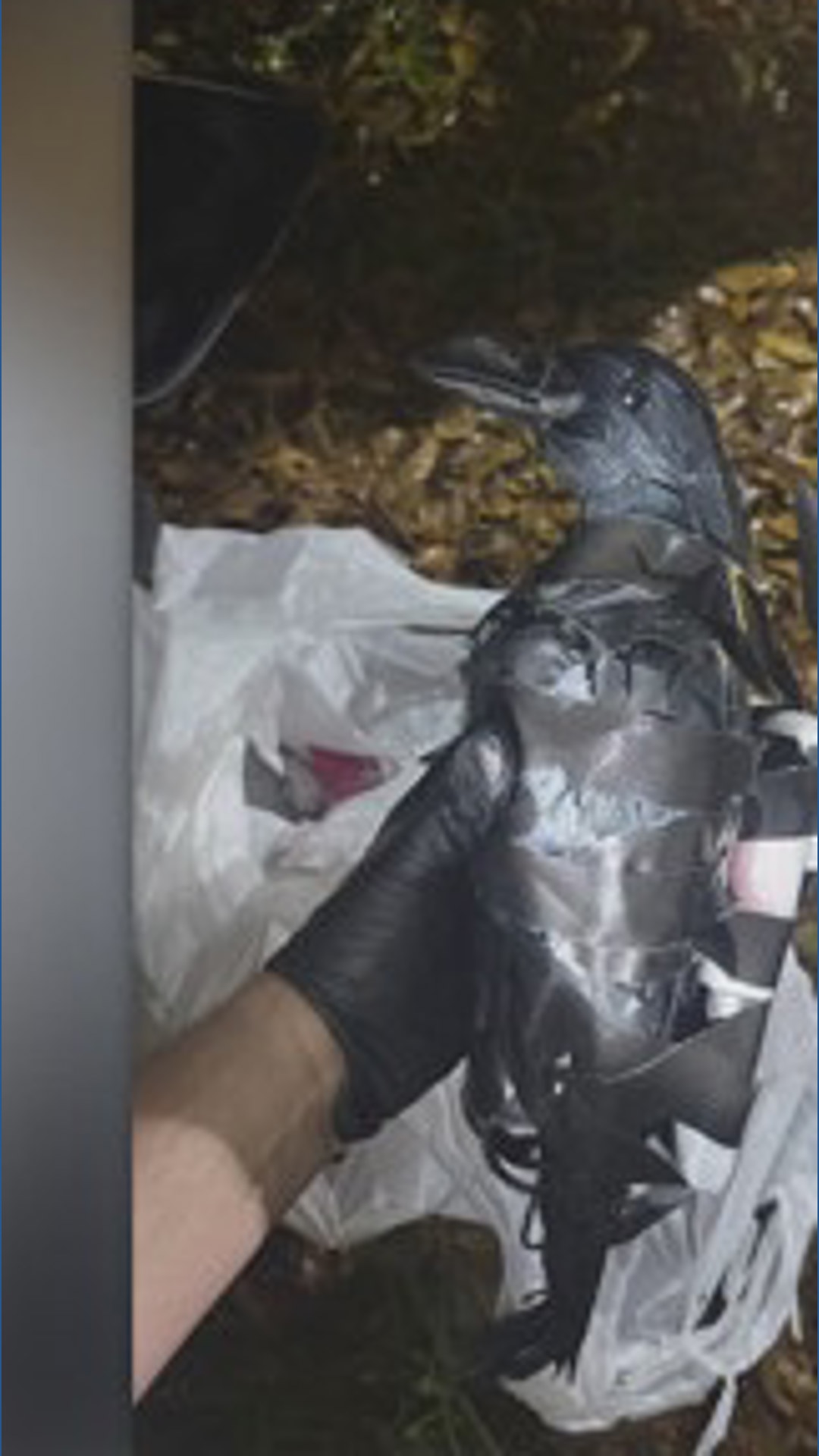Texas women arrested for allegedly smuggling drugs into prison using a ...
