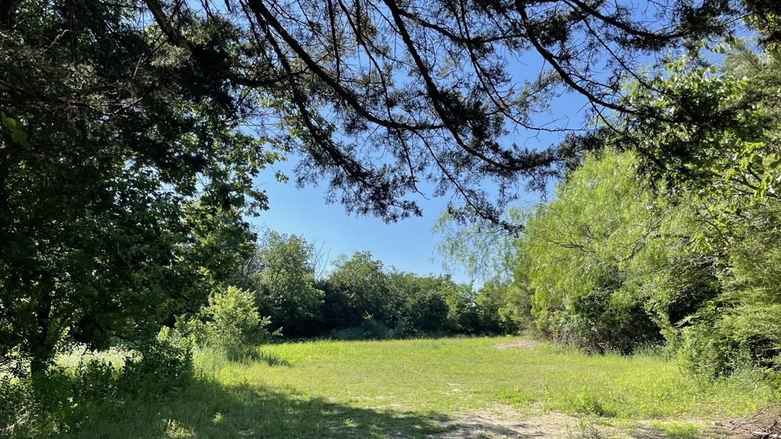 City of Dallas acquires 300-acre Big Cedar Wilderness park - Vimarsana News