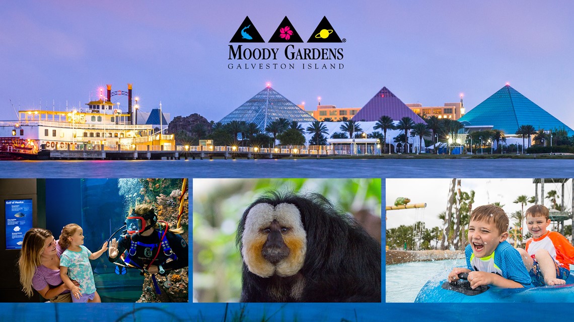 Enter to win a Moody Gardens 2023 Getaway