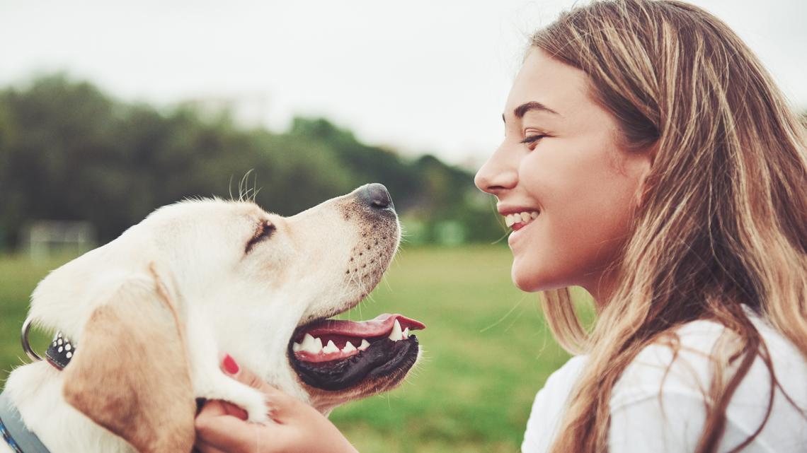 Zillow: Dallas tops U.S. cities for most dog-friendly rentals