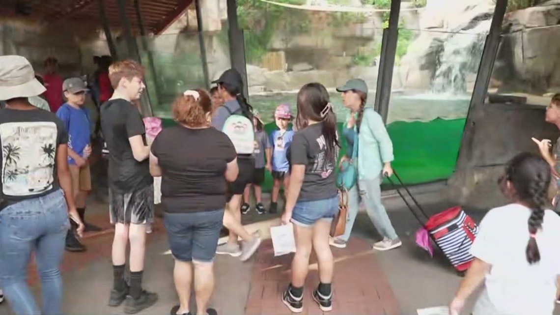 Dallas Zoo Dollar Day draws crowds