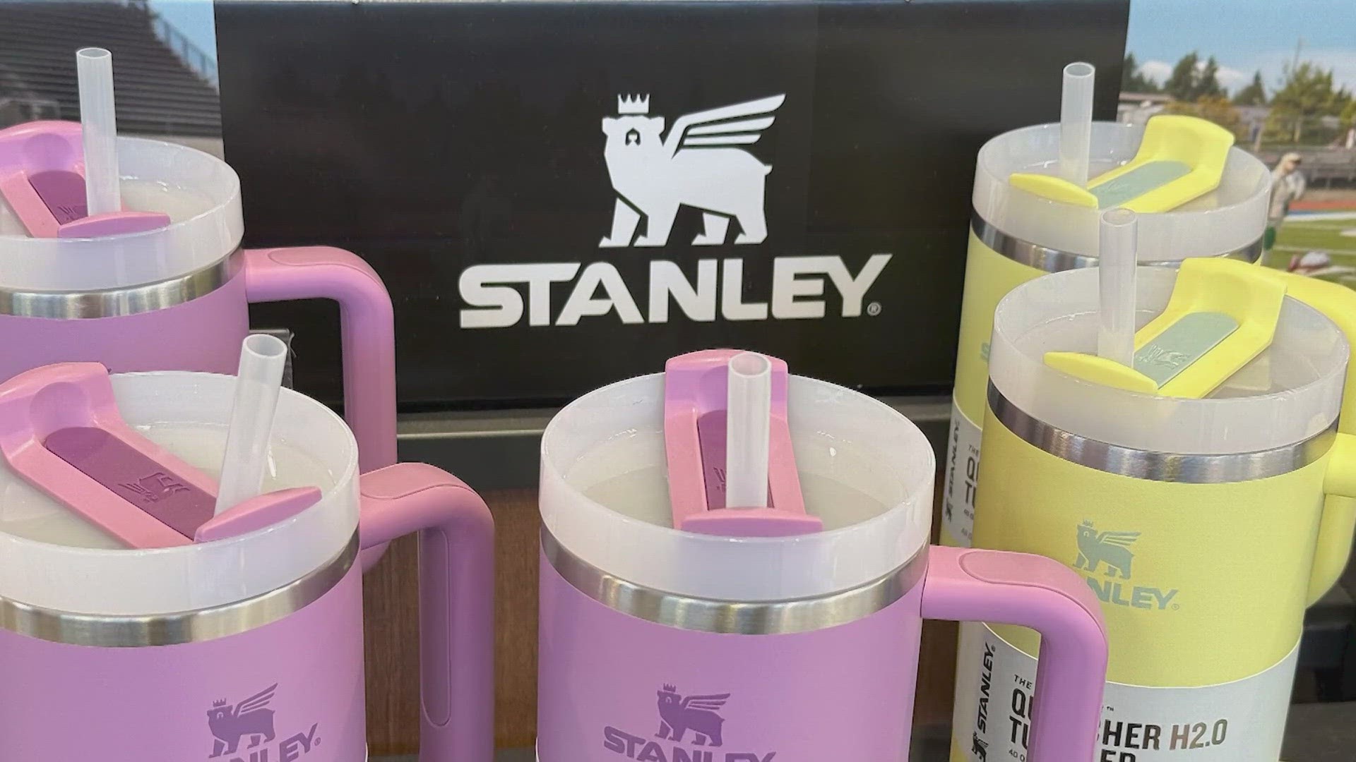 How smart marketing, scarce supply and unique colours made the Stanley cup  a must-have item