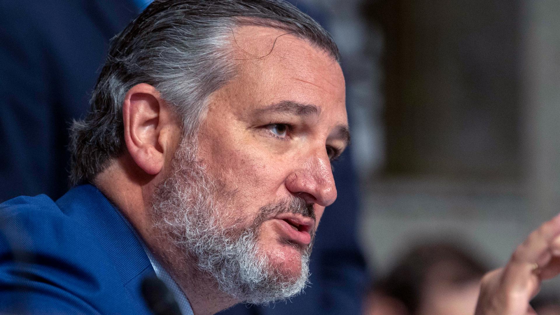 Texas Senator Ted Cruz asked Acting Secret Service Director Ronald Rowe the number of agents assigned to Trump compared to Biden after the assassination attempt.