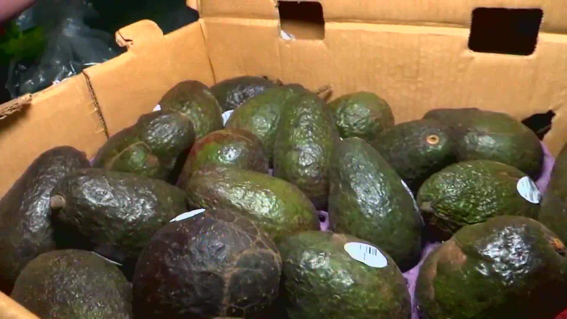 A TikTok user said keeping avocados in water would keep them fresh, but the FDA says it could do more harm than good.
