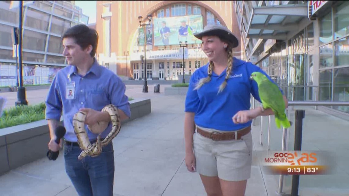 Seaquest Interactive Aquarium Fort Worth