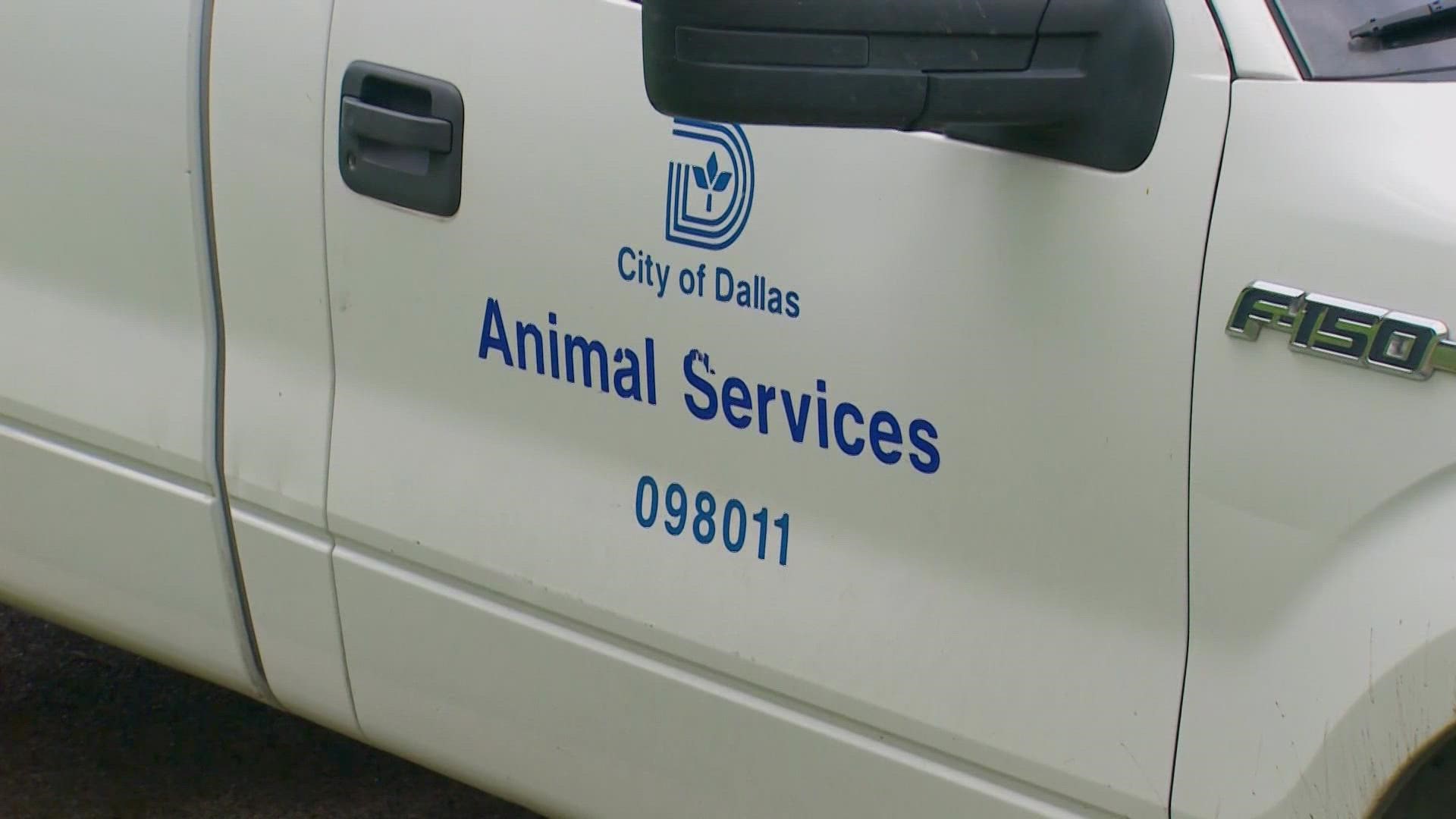 Six weeks after a 2-year-old boy was attacked, Dallas Animal Services released a draft of a coyote management plan.