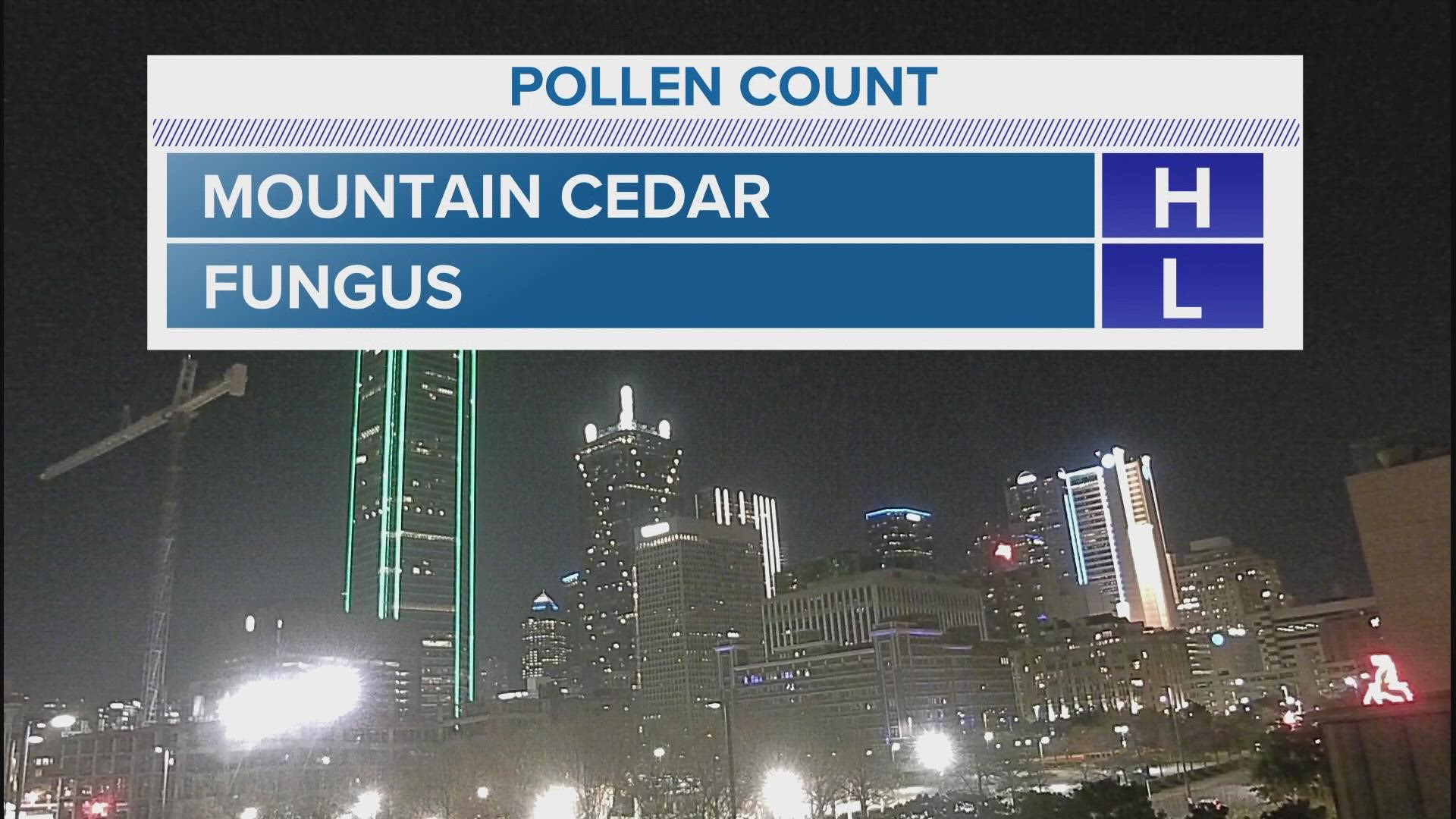 The mountain cedar pollen count is wreaking havoc on North Texans' allergies this week. Here's why -- and what's to blame for it.