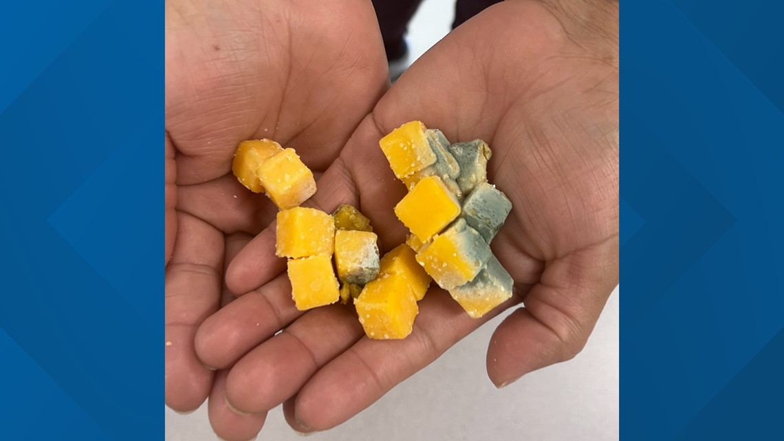 Mesquite ISD investigating moldy cheese served to student at middle school