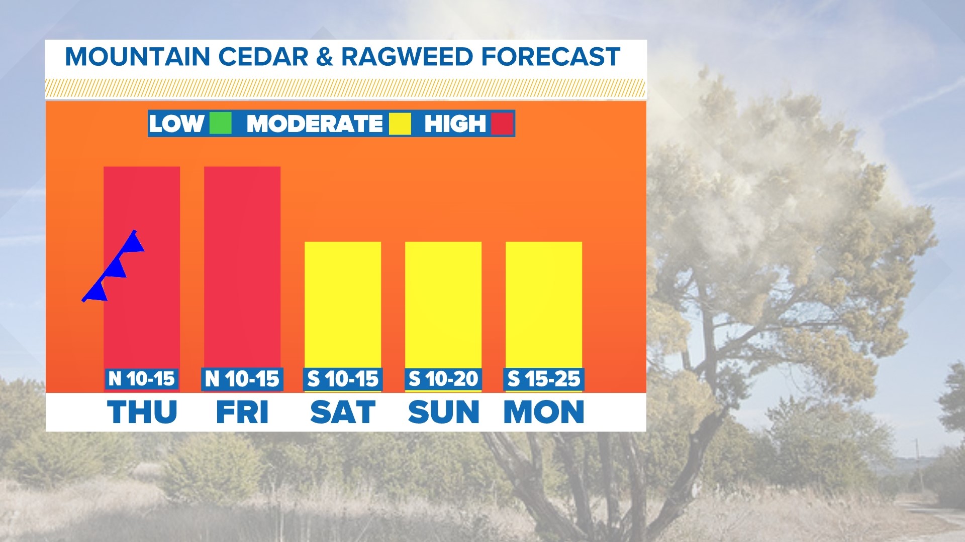 Texas allergy forecast Why DFW pollen count, ragweed are so bad